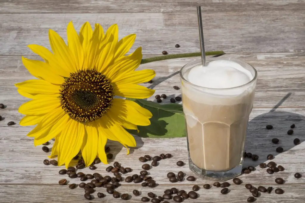 How To Make Cold Coffee At Home Without A Machine