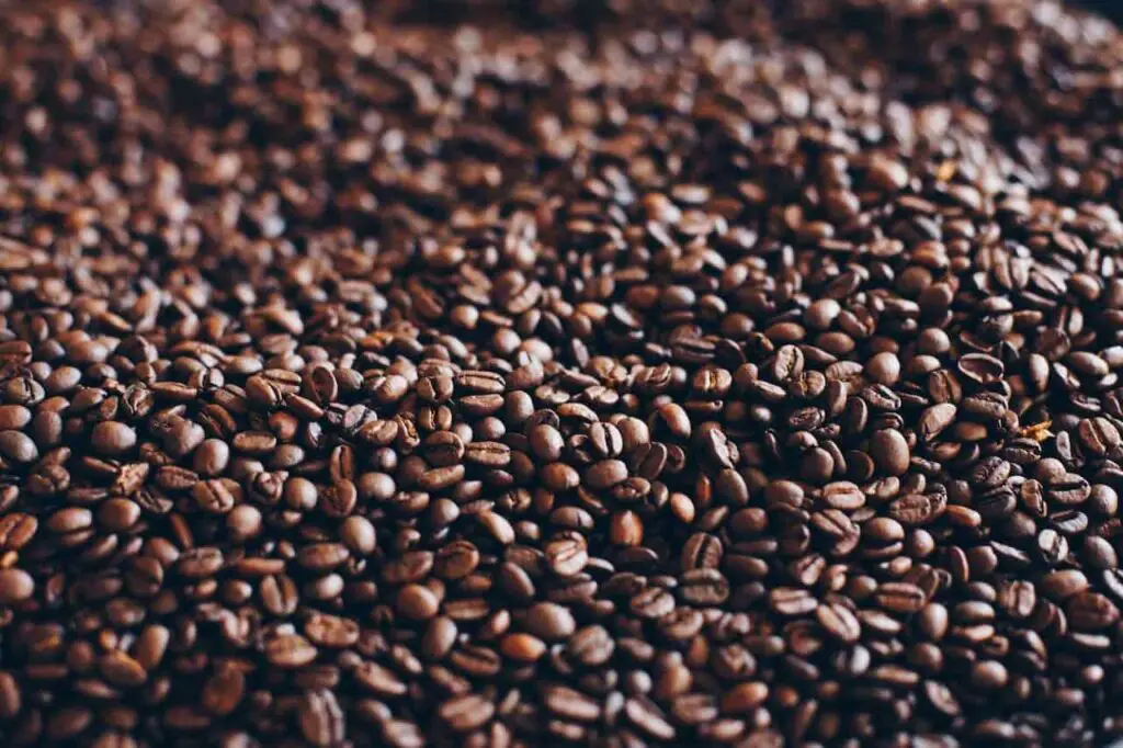 The Differences Between Single-Origin and Blend Coffee: Which One is Better?