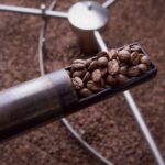 Common Coffee Roasting Myths Debunked: What To Know