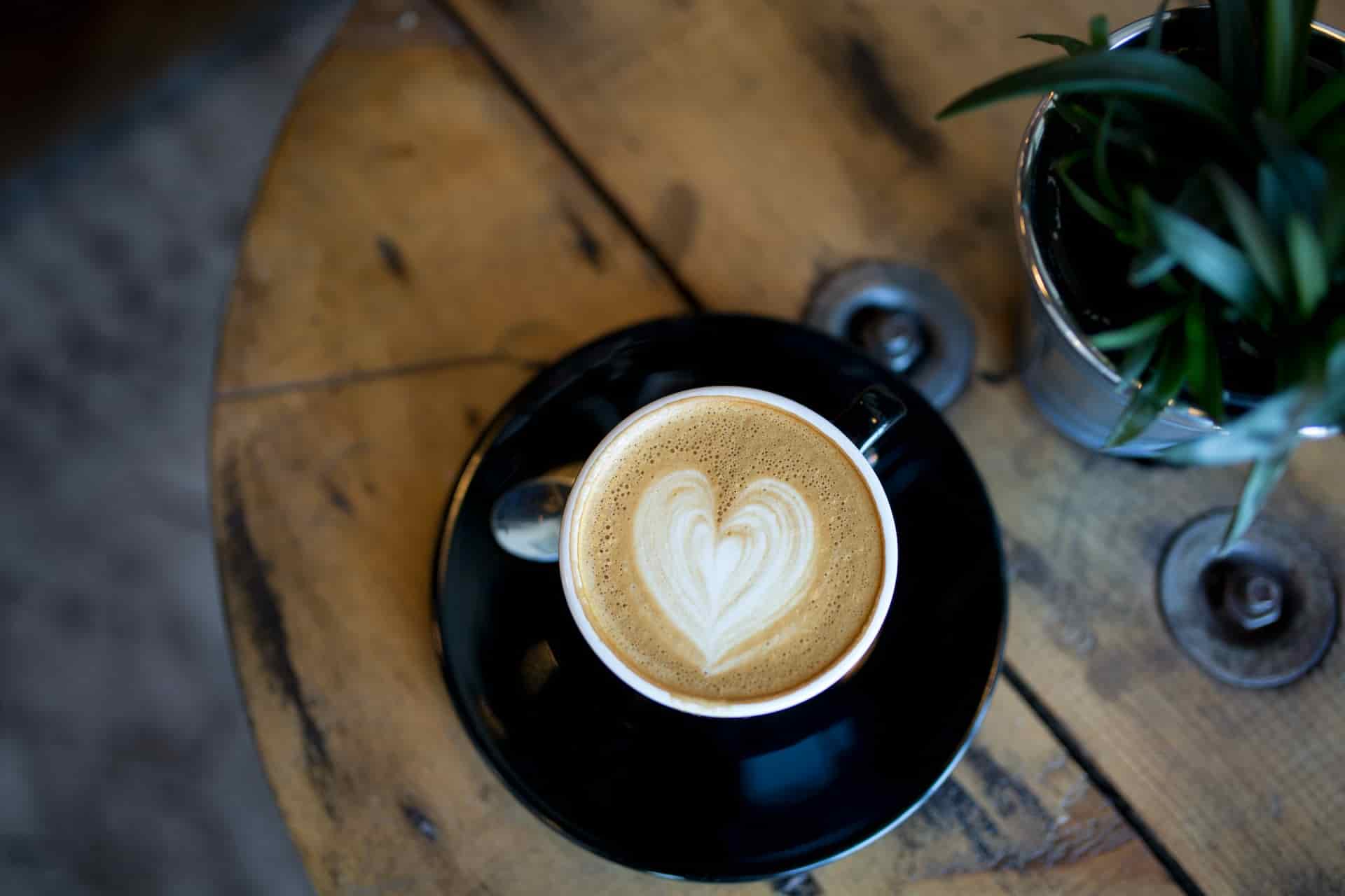 Cortado vs Cappuccino: Which Coffee Drink Reigns Supreme?