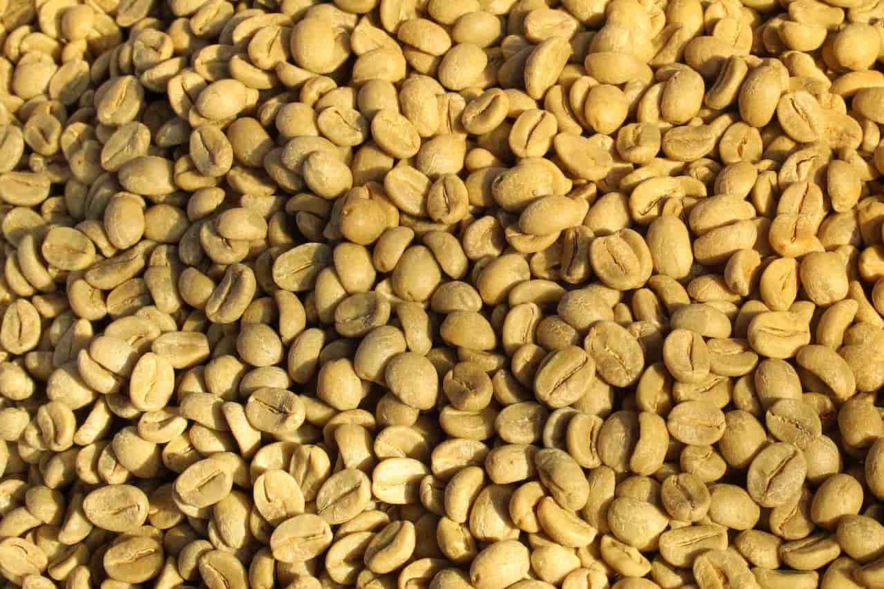 Best Place To Buy Green Coffee Beans