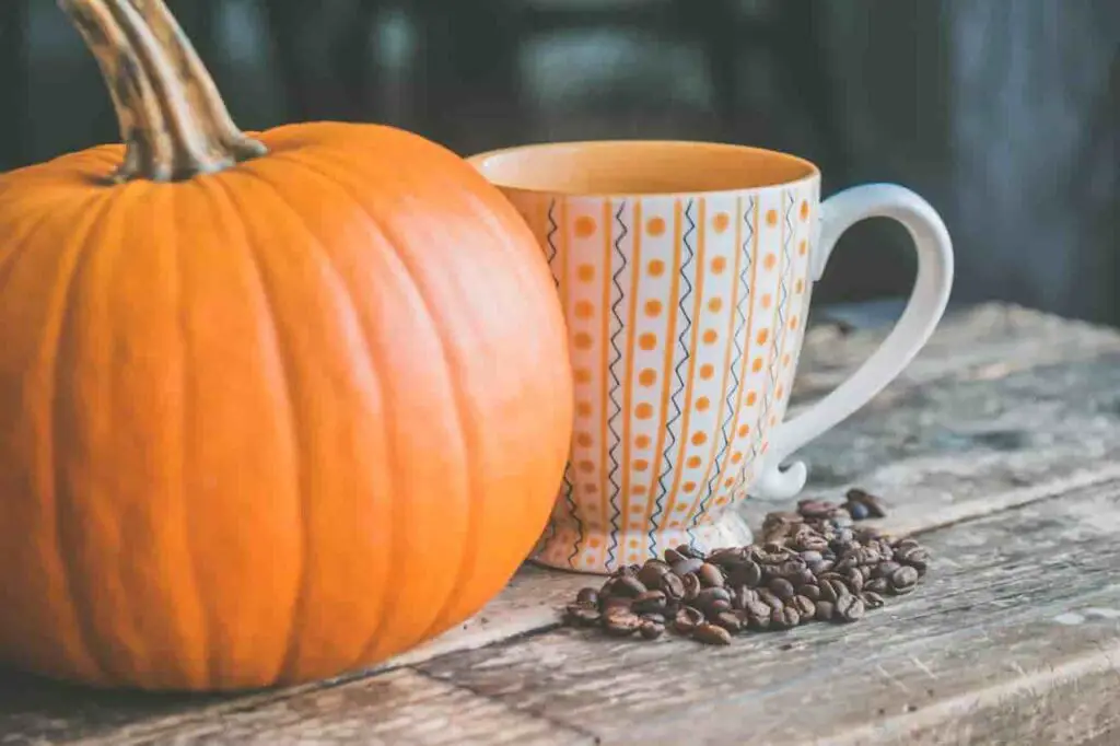 Best Pumpkin Spice Coffee