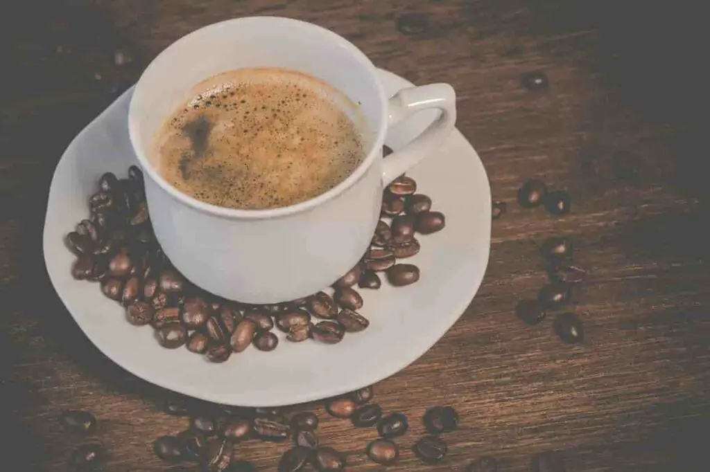 Best Gourmet Coffee Brands