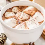 Hot Chocolate with Marshmallows