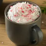 Peppermint Mocha Recipe