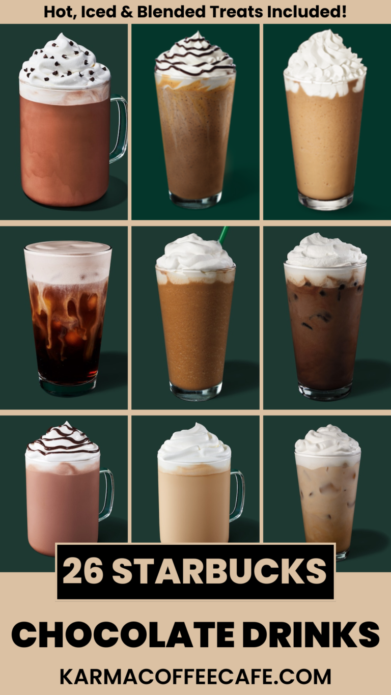 26 Best Starbucks Chocolate Drinks: Hot Iced Blended Treats